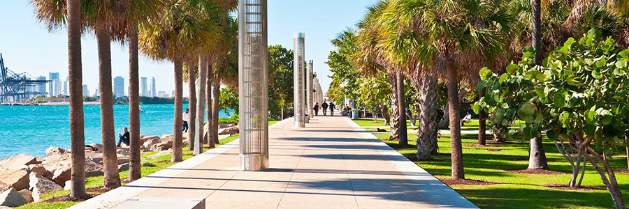 Condado Miami-Dade comienza transición al “nuevo normal“